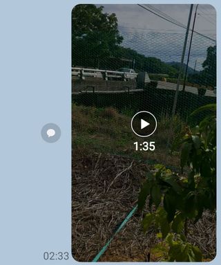 김정은님의 기타작물 · 영농일지 작성글 사진