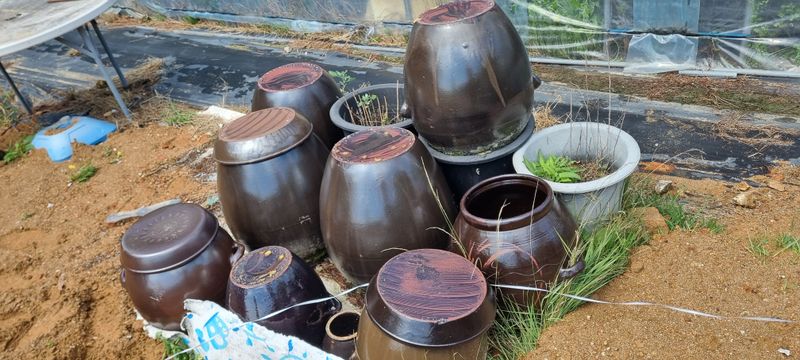 장터 상품 [장독  중ㆍ소] 썸네일