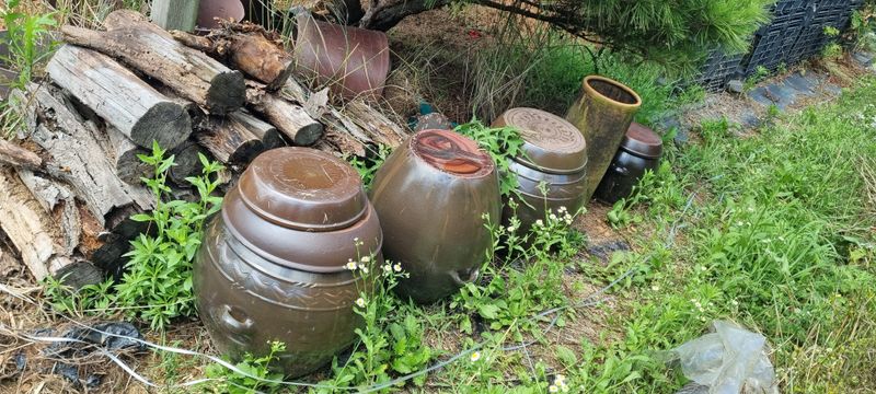 대삼팜스빌리지님의 장터 판매 상품 [장독  중ㆍ소] 첨부 사진