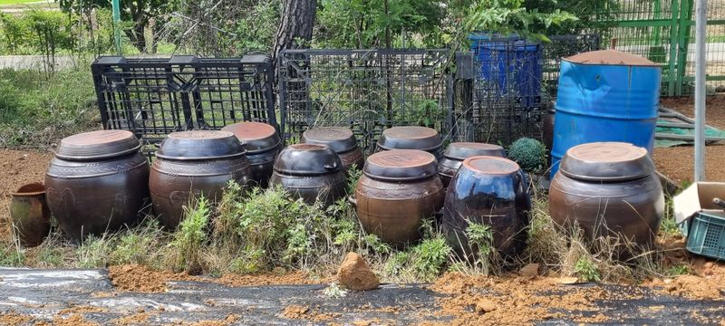 대삼팜스빌리지님의 장터 판매 상품 [장독  중ㆍ소] 첨부 사진