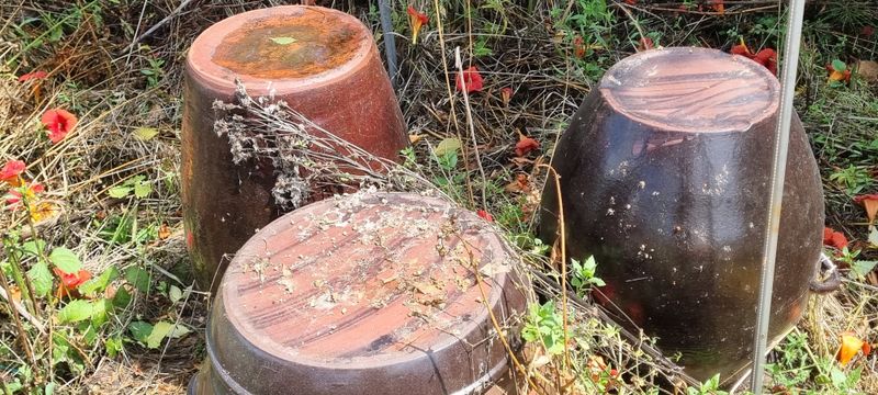 대삼팜스빌리지님의 장터 판매 상품 [장독  중ㆍ소] 첨부 사진