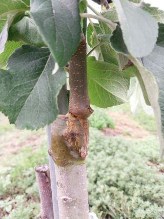 시골살이님의 자유주제 · 자유게시판 작성글 사진