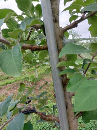 시골살이님의 자유주제 · 자유게시판 작성글 사진