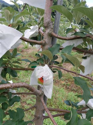 시골살이님의 자유주제 · 자유게시판 작성글 사진