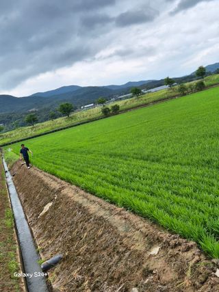 짱순이연속8월출석왕님의 👩🏻‍🌾7월 농작업 계획 · 참여글 작성글 사진