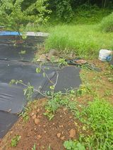 팜모닝 자유주제·자유게시판 게시글 이미지