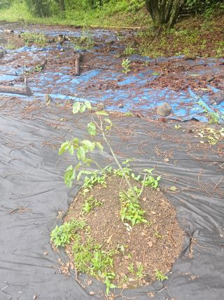 반도님의 자유주제 · 자유게시판 작성글 사진