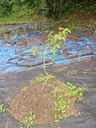 반도님의 자유주제 · 자유게시판 작성글 사진