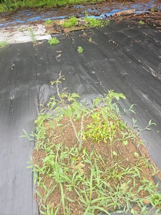 반도님의 자유주제 · 자유게시판 작성글 사진