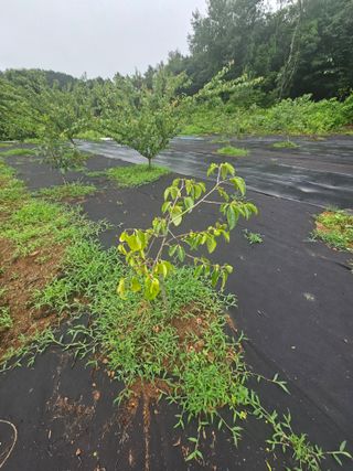 반도님의 자유주제 · 자유게시판 작성글 사진