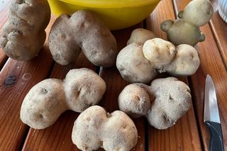 안미란님의 자유주제 · 자유게시판 작성글 사진