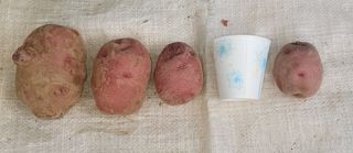 딸랑구와땡보님의 작성글 사진