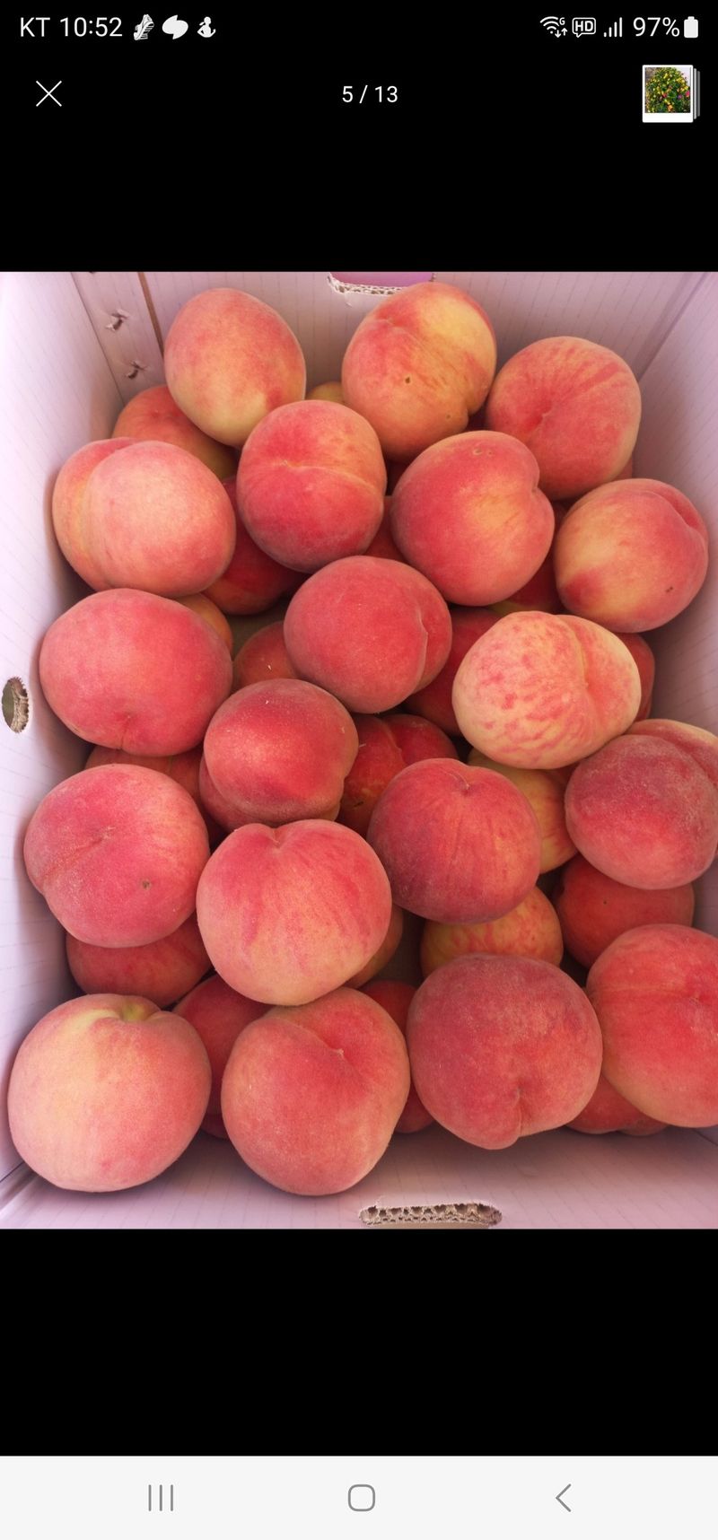 김재현님의 장터 판매 상품 [복숭아 백도] 첨부 사진