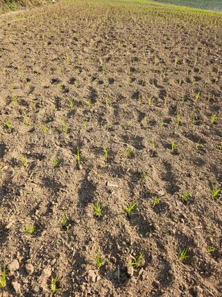 오명희 님의 자유주제 · 자유게시판 작성글 사진
