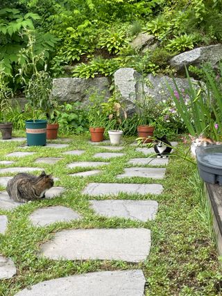 김지훈님의 자유주제 · 자유게시판 작성글 사진