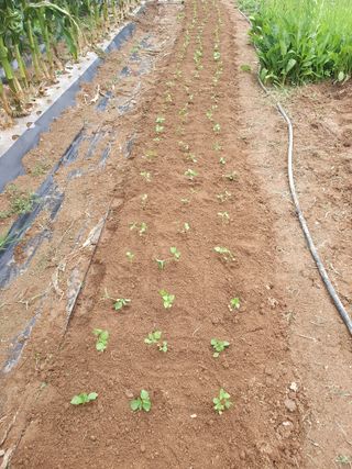 주옥님의 자유주제 · 자유게시판 작성글 사진