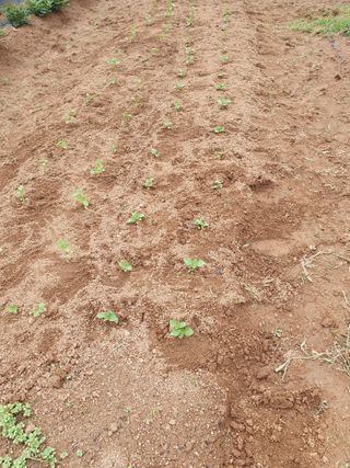 주옥님의 자유주제 · 자유게시판 작성글 사진