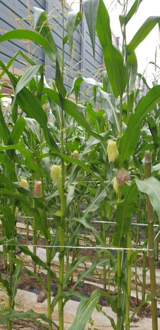 청림구관효님의 자유주제 · 자유게시판 작성글 사진