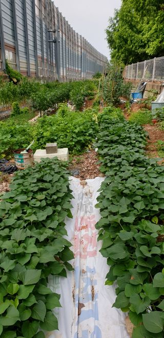 청림구관효님의 자유주제 · 자유게시판 작성글 사진