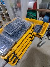 팜모닝 블루베리·영농일지 게시글 이미지