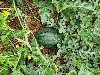 정재문님의 자유주제 · 자유게시판 작성글 사진