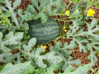 정재문님의 자유주제 · 자유게시판 작성글 사진