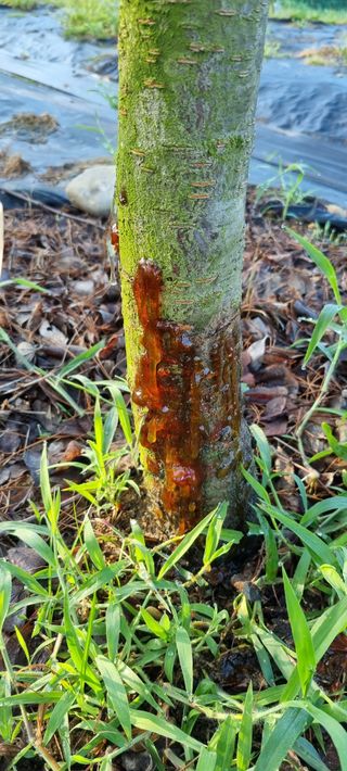 윤섭님의 👩🏻‍🌾7월 농작업 계획 · 참여글 작성글 사진