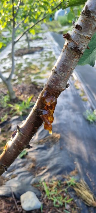 윤섭님의 👩🏻‍🌾7월 농작업 계획 · 참여글 작성글 사진