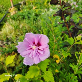 우리꽃님의 자유주제 · 자유게시판 작성글 사진