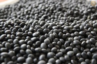 여농님의 자유주제 · 자유게시판 작성글 사진