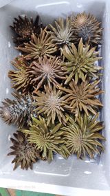 팜모닝 · 게시글 이미지