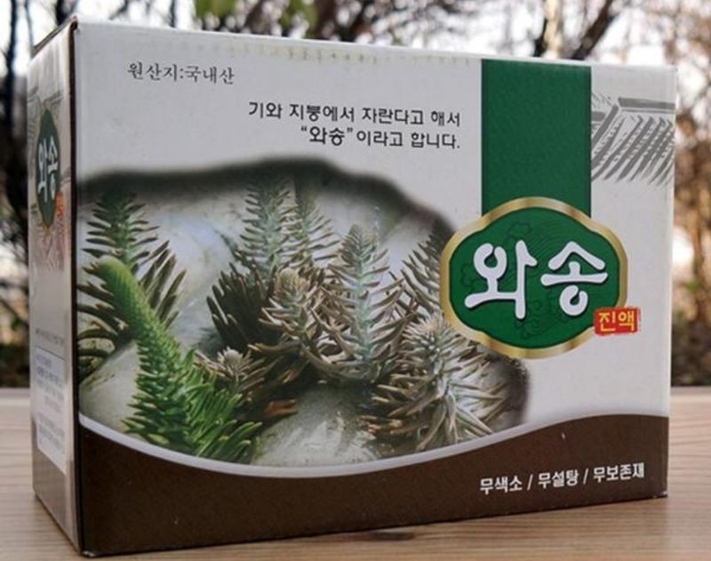 김금순자연산약초님의 장터 판매 상품 [와송3키로 택배비4천 ] 첨부 사진