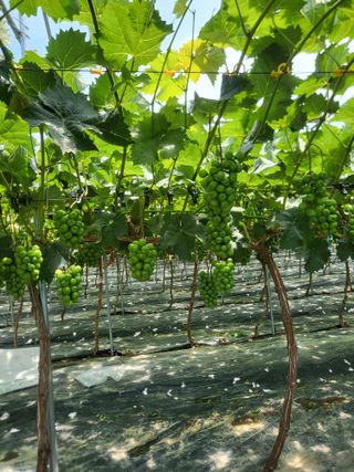 행복님의 자유주제 · 자유게시판 작성글 사진