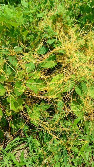 유창준님의 자유주제 · 자유게시판 작성글 사진