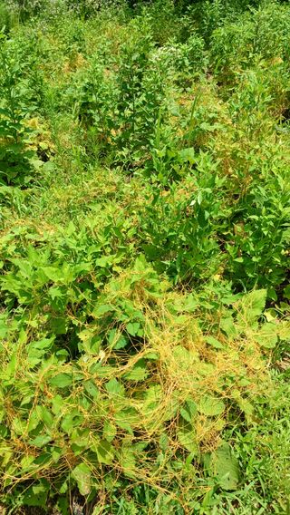 유창준님의 자유주제 · 자유게시판 작성글 사진