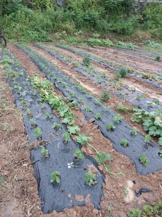 파키드&움메님의 자유주제 · 자유게시판 작성글 사진