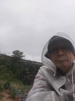 파키드&움메님의 자유주제 · 자유게시판 작성글 사진