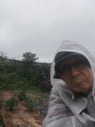 파키드&움메님의 자유주제 · 자유게시판 작성글 사진