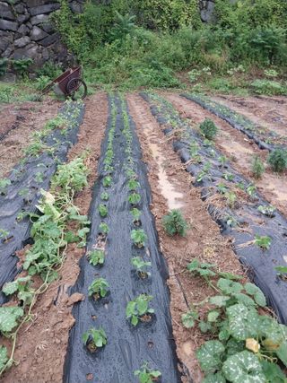 파키드&움메님의 자유주제 · 자유게시판 작성글 사진