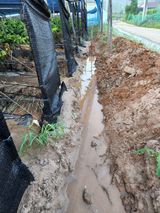 팜모닝 팜모닝·출석 게시글 이미지