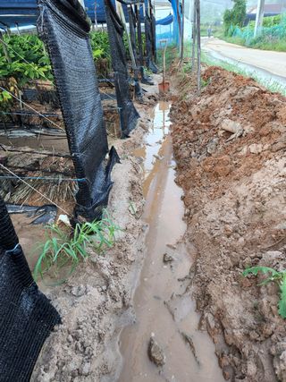 김현화님의 팜모닝 · 출석 작성글 사진