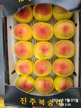 동우농장(김대욱)님의 복숭아 · 자유게시판 작성글 사진