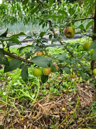 임무현님의 자유주제 · 자유게시판 작성글 사진