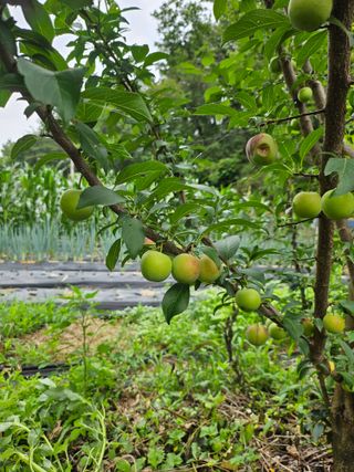 임무현님의 자유주제 · 자유게시판 작성글 사진