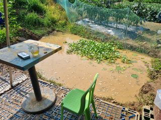 들꽃농장님의 자유주제 · 자유게시판 작성글 사진