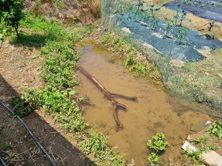 들꽃농장님의 자유주제 · 자유게시판 작성글 사진