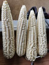 팜모닝 자유주제·사진전 게시글 이미지