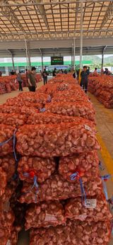 팜모닝 자유주제·자유게시판 게시글 이미지