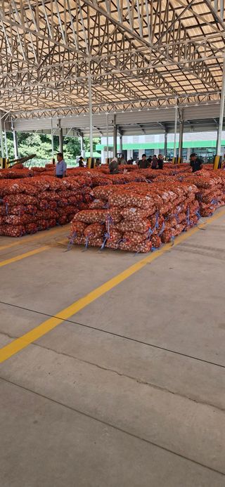 펠렛전문이부장님의 자유주제 · 자유게시판 작성글 사진