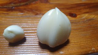 박철규 님의 자유주제 · 자유게시판 작성글 사진